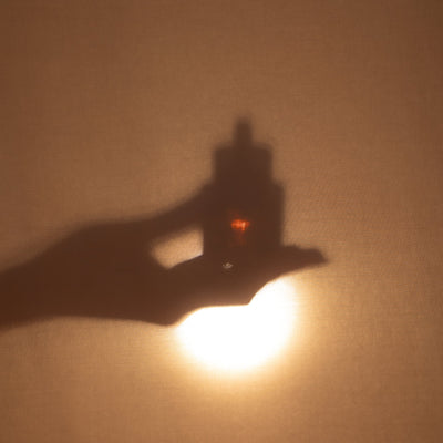 Experience the Art of Aromatherapy